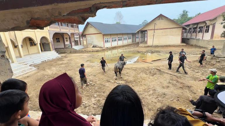Dua Sapi Presiden Prabowo Semarakkan Meugang Para Santri di Aceh Tamiang