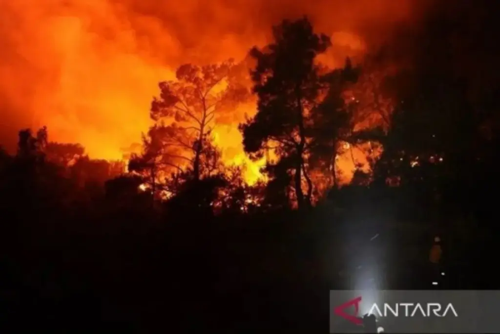 Kebakaran Hutan di Iwate Jepang Meluas, 3.000 Warga Dievakuasi