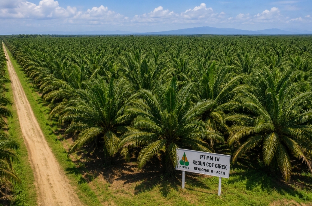 Kebun PTPN Cot Girek Diokupasi, Negara Rugi Rp62,6 Miliar Perkebunan Sawit (Foto: Tutur/Ilustrasi AI)