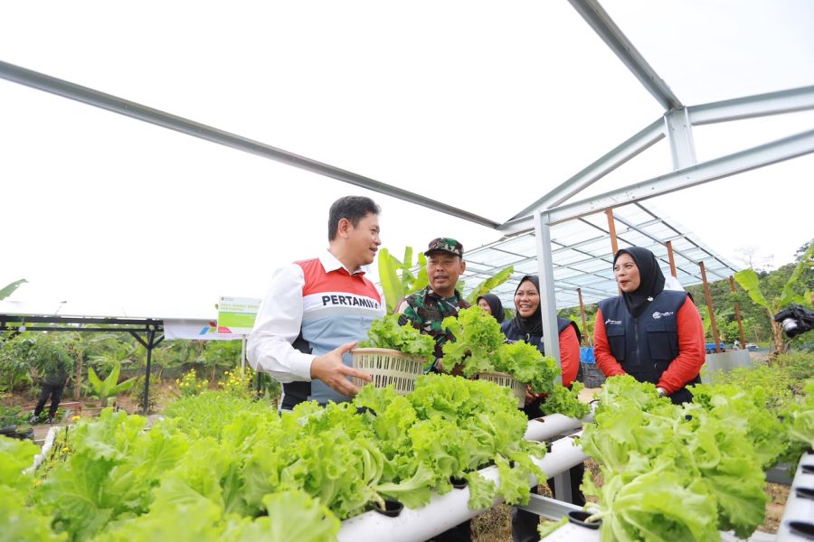 Program Desa Energi Berdikari Pertamina Jangkau 262 Desa, Dorong Ekonomi dan Ketahanan Energi