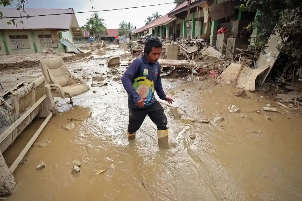 Prabowo Cabut Izin 28 Perusahaan Pelanggar Hutan di Aceh hingga Sumatra Utara