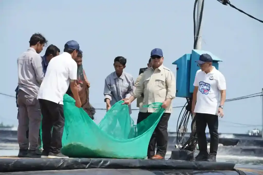 Panen Raya Udang di Tambak Budidaya Udang Berbasis Kawasan (BUBK) di Kebumen, Jawa Tengah, Sabtu (23/5) (Foto: Tutur/ Bakom RI)