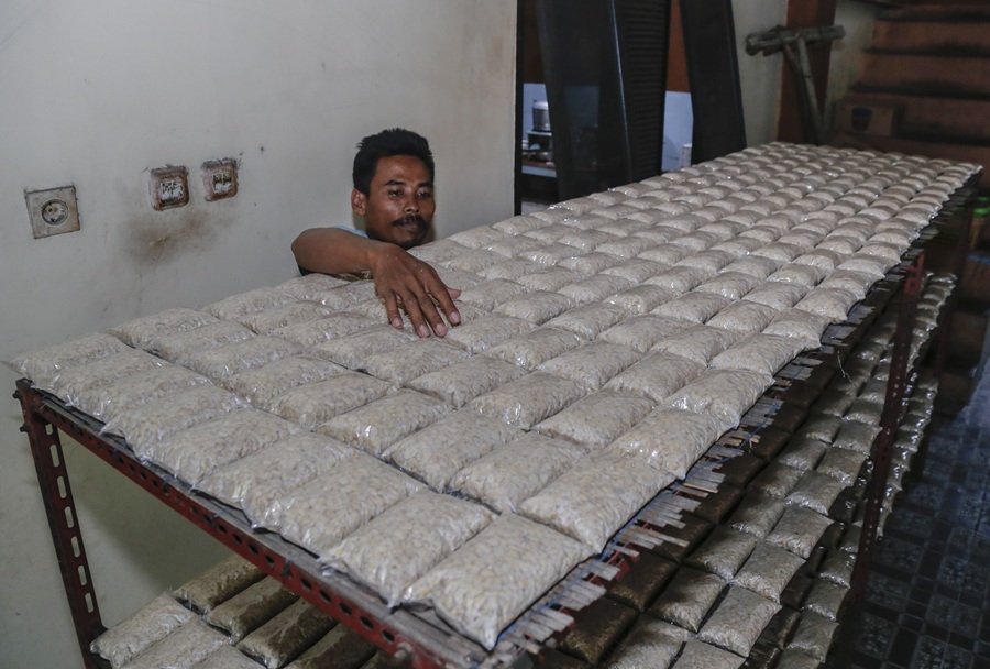 Impor 250 Ribu Ton Kedelai, Zulhas Pastikan Nasib UMKM Tahu Tempe Tak Kolaps